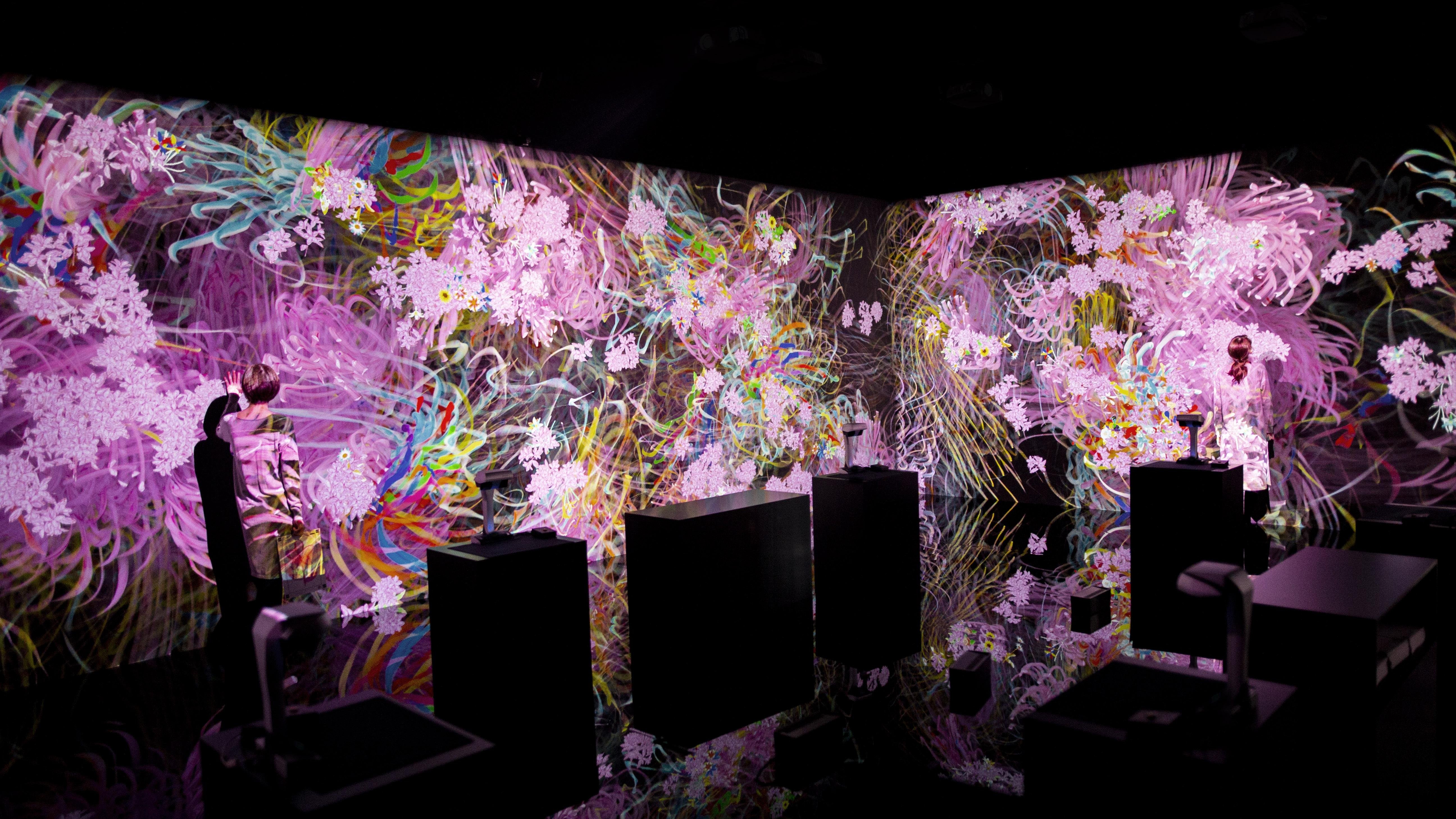 フラワーズ ボミング / Flowers Bombing | teamLab / チームラボ