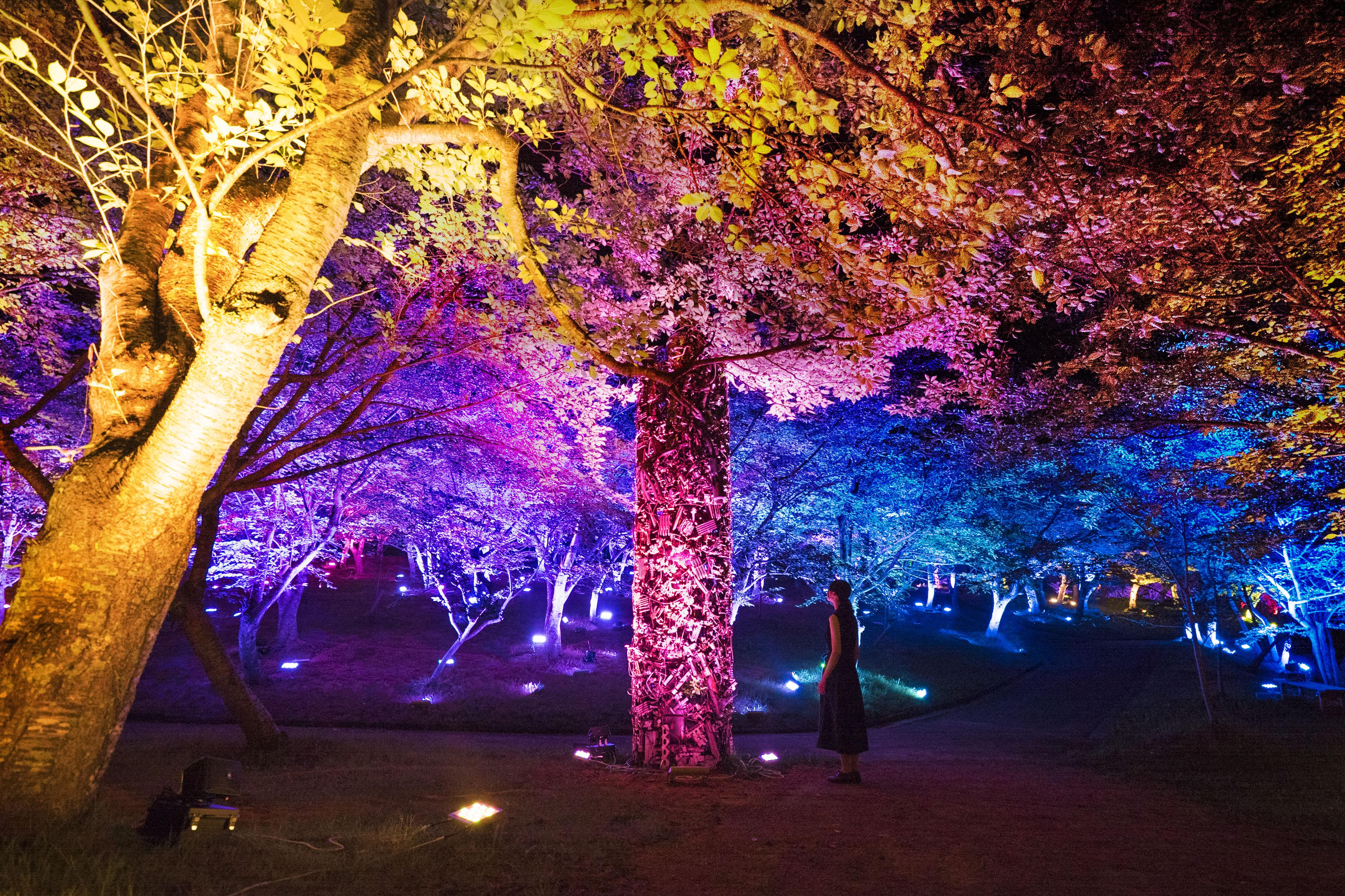 展示テーマ画像