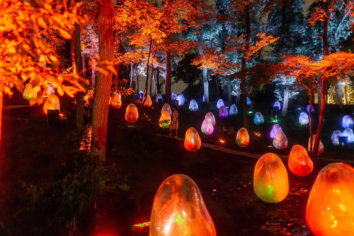Resonating Trees | teamLab