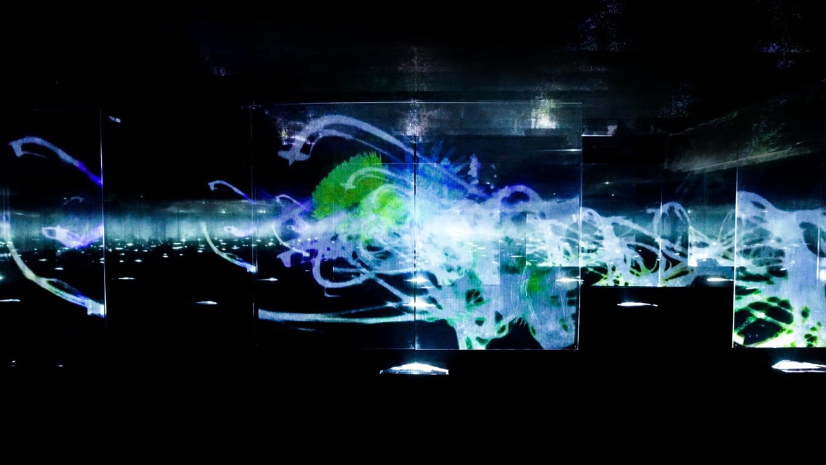 width=1200,format=jpeg