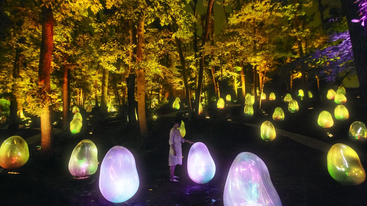 チームラボ どんぐりの森の呼応する生命, 埼玉 | teamLab / チームラボ