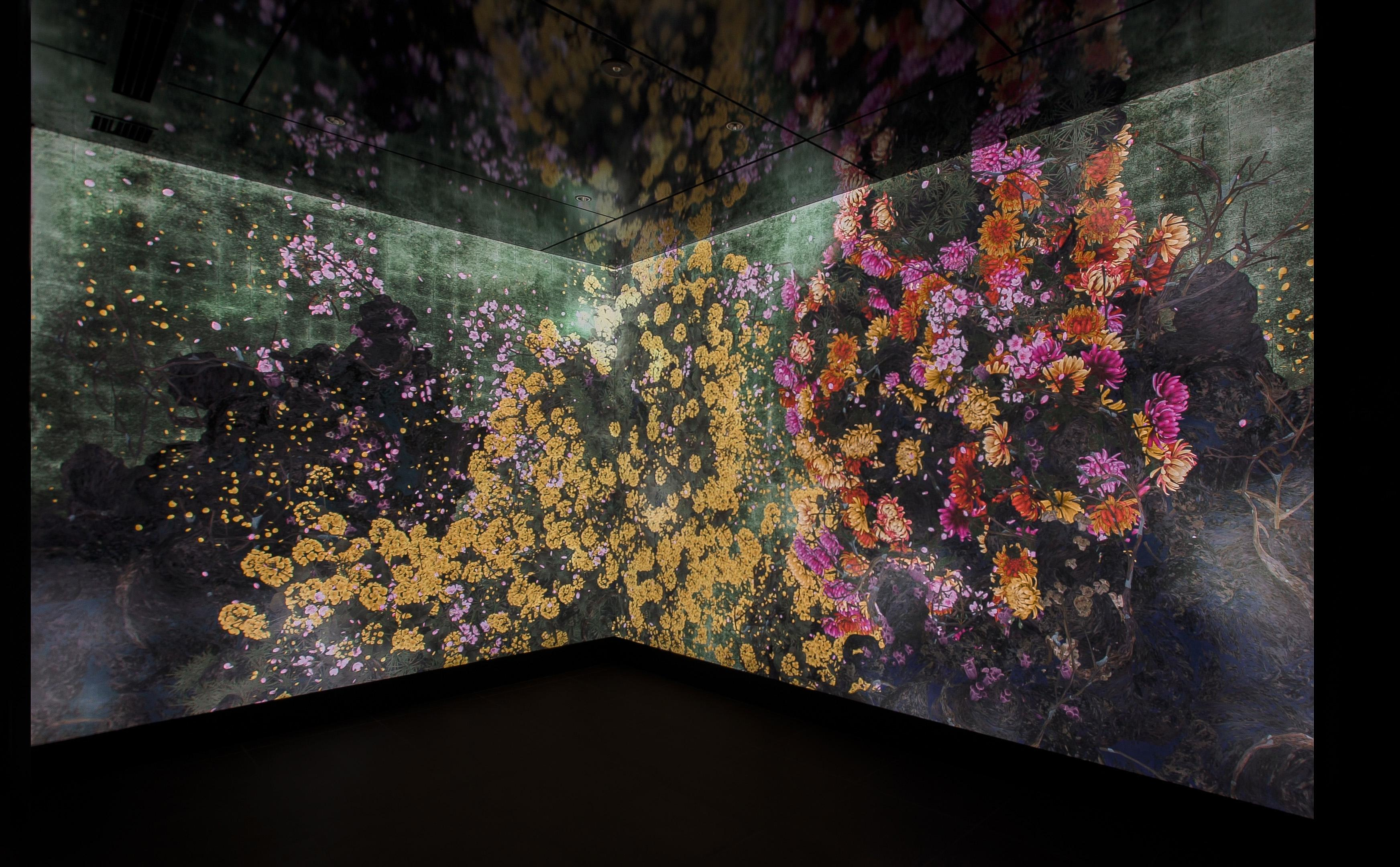 展示テーマ画像